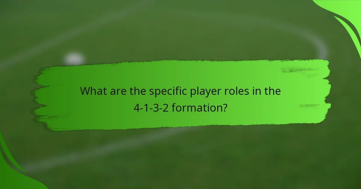 What are the specific player roles in the 4-1-3-2 formation?